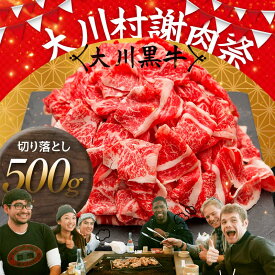 【ふるさと納税】国産黒毛和牛 大川黒牛 切り落とし A4（250g×2パック） 国産 黒毛和牛 A4 切り落とし 牛肉 高知県 大川村 F6R-020