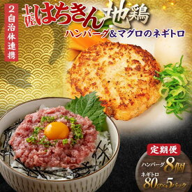 【ふるさと納税】【セット定期便】【大川村と高知市の共通返礼品】土佐はちきん地鶏ハンバーグセット＆マグロのネギトロ 地鶏 鶏肉 とり肉 肉 まぐろ 海鮮 高知県 大川村 F6R-111