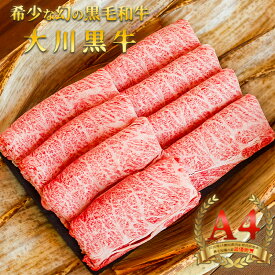 【ふるさと納税】国産黒毛和牛 大川黒牛ロースしゃぶしゃぶ用スライスA4　250g×2　計500g　数量限定