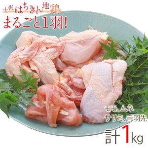 yӂ邳Ɣ[Łzy͂n{ ܂邲ƈH߂Zbg 1kg  ނ˓  H H n{  l  TT~ { Ƃ Ƃɂ  m 쑺 F6R-010