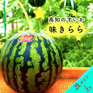 yӂ邳Ɣ[Łz5{܂ŁIij2ʁ@2LTCY t[c Â  Ԍ Yn    