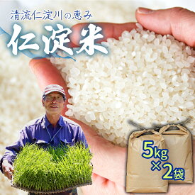 【ふるさと納税】上東産仁淀米（2025年10月末頃から発送）無洗米 お米 数量限定 産地直送 送料無料 予約受付 こめ コメ 香り