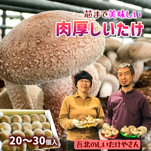 yӂ邳Ɣ[Łz2025N11甭c܂Ŕ