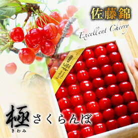 【ふるさと納税】極みさくらんぼ (佐藤錦)　2026年1月下旬～順次発送 特秀 極 酸味 甘味 お取り寄せ ギフト 贈答 フルーツ 特産 艶