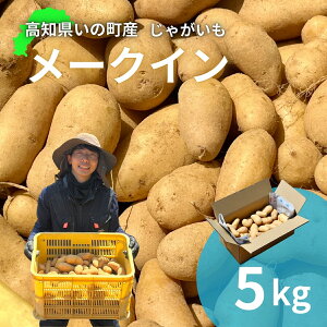 �y�ӂ邳�Ɣ[�Łz���Ⴊ����5kg�i���[�N�C���j