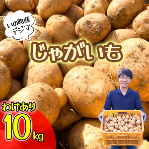yӂ邳Ɣ[Łzy󂠂zႪ10kgifW}j