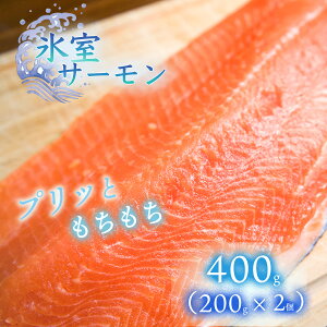 yӂ邳Ɣ[ŁzXT[400gi200g×2j