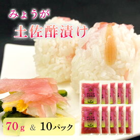 【ふるさと納税】　みょうが土佐酢漬け（70g×10パック）