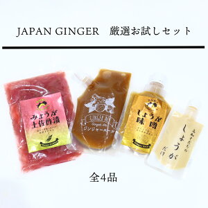 yӂ邳Ɣ[ŁzJapan GingerIZbgie1{j
