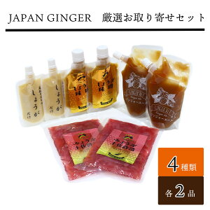 yӂ邳Ɣ[ŁzJapan GingerI񂹃Zbgie2{j
