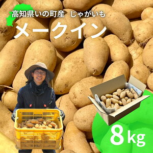 yӂ邳Ɣ[ŁzႪ8kgi[NCj