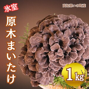 yӂ邳Ɣ[Łz̒Y@ؕ@1kg@y2025NO\z