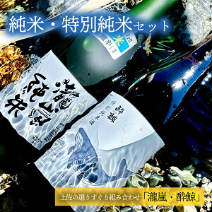 yӂ邳Ɣ[ŁzāEʏ2{Zbgim𑢁E~𑢁j~ kochi m  55% ʏ  Mtg v[g 