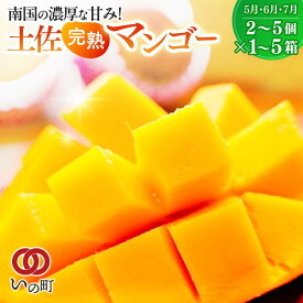【ふるさと納税】かおる・とろける！土佐マンゴー(2〜5個)×1箱/2箱/3箱/4箱/5箱 完熟 予約受付 フルーツ 特産品 産地直送 送料無料 期間限定 数量限定 美味しい おすすめ 5月 6月 7月 8月