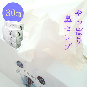 yӂ邳Ɣ[ŁzlsA @Zu{bNXeBbV i30jێeBbV ԕ ɂȂ eBbV \tg ێ @ ΍
