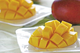 【ふるさと納税】土佐マンゴー（2〜5個）