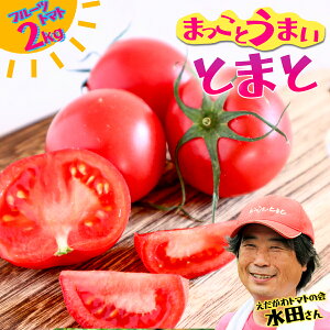 �y�ӂ邳�Ɣ[�Łz���c����̂܂����Ƃ��܂��I�t���[�c�g�}�g ��2kg×1���E��2kg×2���E��2kg×3�� ���ϔ��� ���m���Y ������ �������� �������� ������� ���Y�i �Y�n���� �������� �����x 