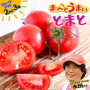 yӂ邳Ɣ[Łzĉ܂Ƃ܂It[cg}g 2kg×1E2kg×2E2kg×3 ϔ mY     Yi Yn  x 