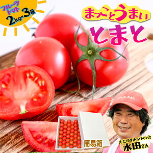 yӂ邳Ɣ[Łzĉ܂Ƃ܂It[cg}g ȈՔ 2kg×1E2kg×2E2kg×3 mY     Yi Yn  x 
