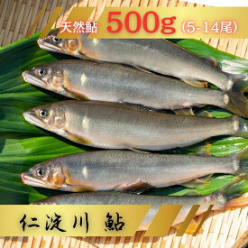 【ふるさと納税】鮎 あゆ 天然鮎 仁淀川町 高知県 冷凍 こだわりの鮎 約500g アユ 魚 魚介 川魚 塩焼き 甘露煮 冷凍鮎屋 仁淀川 仁淀ブルー 友釣あゆ 500g（5-14尾）