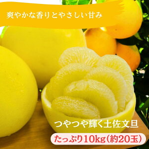 0121601yӂ邳Ɣ[Łzt̖킢@ɋPyUi召20ʁ^10kg1jߘa8N3{蔭Jn