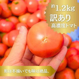 【ふるさと納税】【先行予約】【訳あり】そらのトマト 約1.2kg 高知県産 夏秋限定 フルーツトマト 規格外 トマト とまと 野菜 やさい ご家庭用 産地直送 送料無料 贈答 ギフト プレゼント 人気 おすすめ ※2025年夏以降順次発送