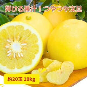 yӂ邳Ɣ[ŁzЉ| yU 10kg ƒp Ԃ񂽂 u^ k ݂ t[c ʕ Mq 䂸 mY Yi Y p Mtg 蕨 Ε  ʏ` W[X Yn 