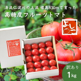 【ふるさと納税】【先行予約】【期間限定】夏秋限定 よしこさんのトマト 1kg（1箱）無加温栽培 高知県産 フルーツトマト とまと トマト 野菜 やさい 訳あり 産地直送 ※2026年10月中旬受付終了