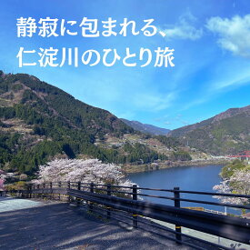 【ふるさと納税】秋葉の宿 ひとり旅 1泊2食付きプラン 食事 四国 宿泊券 高知 宿泊 仁淀川町