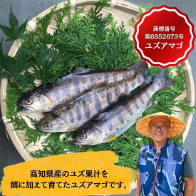 【ふるさと納税】高知県仁淀川清流育ち ユズアマゴ 成魚 柚子 希少 ブランド 川魚 商標登録済 安心 品質 贈答用 家庭用 塩焼き 燻製 酒の肴 つまみ 高知特産 天然水 仕込み アマゴ 天魚