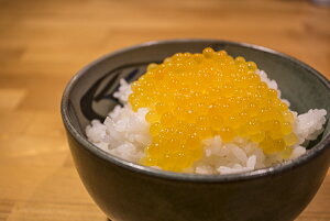 yӂ邳Ɣ[Łzmm쒬 YA}Sb炿̃uh싛b䂸ʏ`zŏL݂ȂiȖ킢b܂Ő̃LrÂ悤ȑ嗱܂bpEт̂E