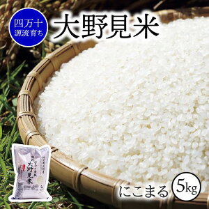 yӂ邳Ɣ[Łz  5kg ɂ܂  V  ʍ͔| 쌩  5L l\ m