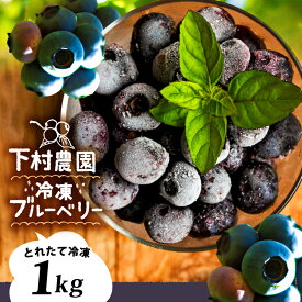 【ふるさと納税】 冷凍 ブルーベリー 1kg 冷凍フルーツ ブルーベリー ぶるーべりー ブルーべりー ぶるーベリー 冷凍 新鮮 国産 フルーツ ふるーつ 果物 冷凍果物 冷凍くだもの くだもの スムージー ジャム に おすすめ 高知県 中土佐町 農家直送