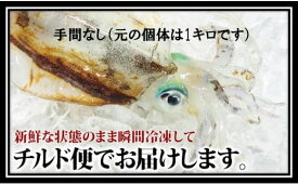 【ふるさと納税】瞬間冷凍アオリイカ（手間なし） 750g 鮮度抜群 真空パック お刺身