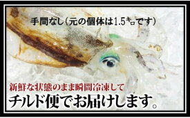 【ふるさと納税】瞬間冷凍アオリイカ（手間なし） 1.2kg 鮮度抜群 真空パック お刺身