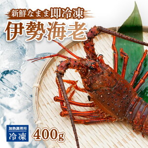 yӂ邳Ɣ[Łz ɐCV Ⓚ  400g Mp CZGr Gr  ƒp 󂠂 X`