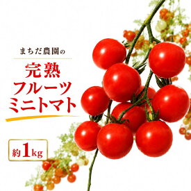 【ふるさと納税】 トマト 高知 フルーツトマト ミニ 1kg 完熟 甘い 濃厚 野菜 人気 ふるーつとまと 甘い 濃厚 美味しい 箱詰め 糖度 高知 四万十川 まちだ農園 高糖度 定期便 ギフト おやつ プチ お弁当 季節限定