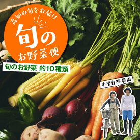 【ふるさと納税】高知の旬をお届け「中里自然農園・旬のお野菜便」