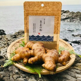 【ふるさと納税】 生姜の粉 乾燥パウダー 10g × 2袋 セット 国産 自然栽培 農薬 化学肥料不使用 高知県