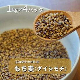 【ふるさと納税】もち麦（ダイシモチ）1.0kg×4パック