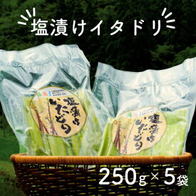 【ふるさと納税】 冷凍 塩漬け イタドリ 250g×5袋 高知県産 いたどり 虎杖 スカンポ イタズリ 山菜 野菜 野菜炒め ダンジ ゴンパチ イタンコ キムチ 混ぜごはん サラダ 漬物 漬け物 加工品 冷凍 ごはんのおとも ご飯のお供 惣菜 おかず 副菜 おつまみ お土産 高知 中土佐町
