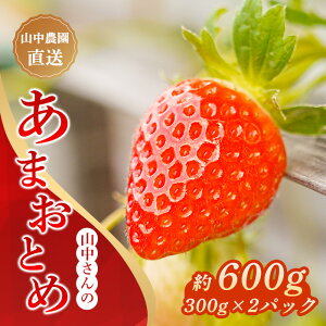 yӂ邳Ɣ[Łz s\t  ܂Ƃ 2pbN 600g  t[c ʕ fU[g Â m yY  ӂ邳Ɣ[  Â x Yn