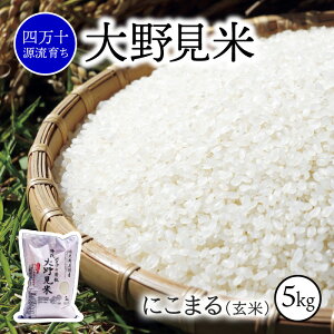 yӂ邳Ɣ[Łz Vė\  5kg ɂ܂  V  ʍ͔| 쌩  5L l\ m
