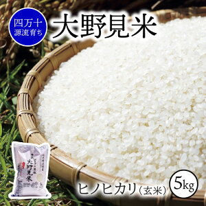 yӂ邳Ɣ[Łz  5kg qmqJ  V  ʍ͔| 쌩  Ђ̂Ђ 5L l\ m
