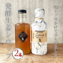 楽天市場】北海道アンソロポロジー 和漢発酵生姜シロップ 280mLの通販