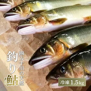 yӂ邳Ɣ[Łz l\㗬  VR ނ舼 1.5kg ( Ⓚ 6`22 )   A 싛 m l\ VR Ⓚ