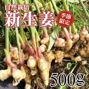 yӂ邳Ɣ[Łz VI 500g R͔| _ w엿sgp m