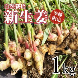 yӂ邳Ɣ[Łz VI 1kg R͔| _ w엿sgp m