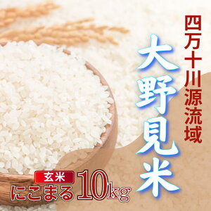 yӂ邳Ɣ[Łz  10kg ɂ܂  V  ʍ͔| 쌩  10L l\ m