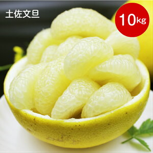 yӂ邳Ɣ[ŁzyUiƒpj10kg yʌzm 쒬 Y k s\ty퉷zTCYFL`4L@2026N2`3\聄